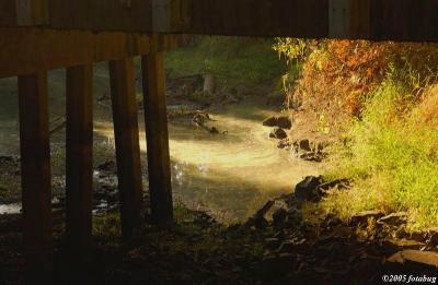 From under the bridge