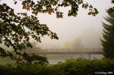 Bridging the fog