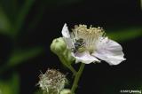 D2x2005-06-15_380