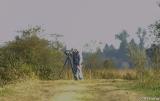 Bird watching