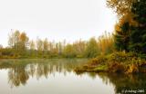 Alton Baker pond