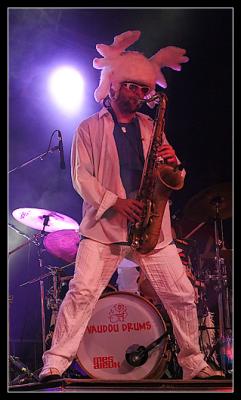 CRW_2466.jpg