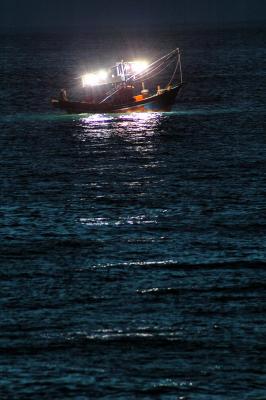 The fishing boat use light to attract squid