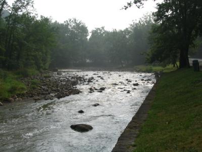v3/66/482766/3/50653374.IMG_0408.jpg