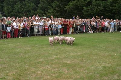 Encouragements de la foule.JPG