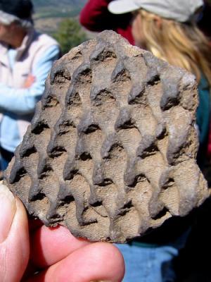 Chimney Rock Pottery Fragment