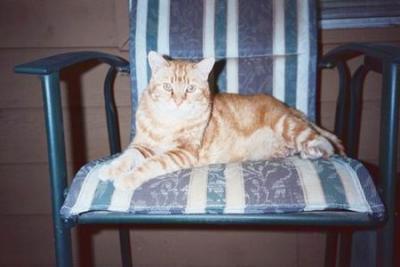 Opie on Ski's Chair 2