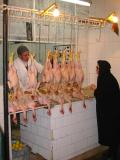 Chickens, Tangier