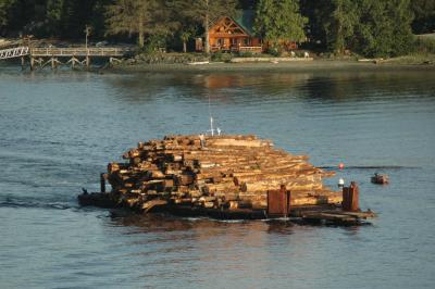 Timber transportation Ketchikan harbor.jpg