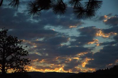 DSC_0130 optimized.jpg