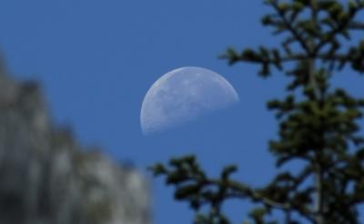 DSC_0228 optimized.jpg