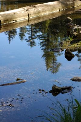 DSC_0005 optimized.jpg