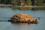 Timber transportation Ketchikan harbor.jpg