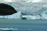 Ice chunks at Mendenhall Glacier Juneau.jpg