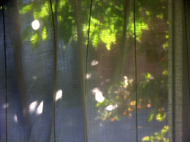 But soft! what light...<br>24 September 2005 (8)