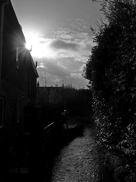 Sunshine on a rainy day II