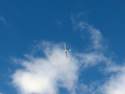 Soaring
