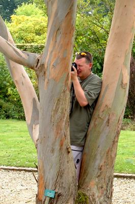 I talk to the trees...