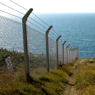 Fence II