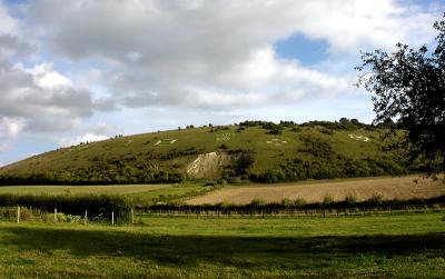 From East Farm