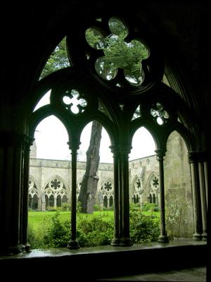 Cloisters in the rain