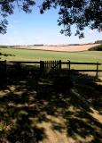 Towards Chilmark Down