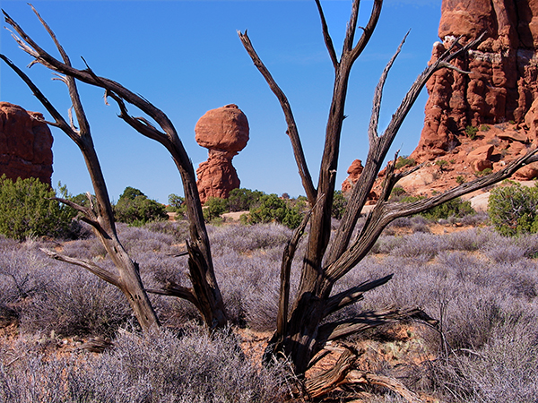 03-03 Arches 670.jpg