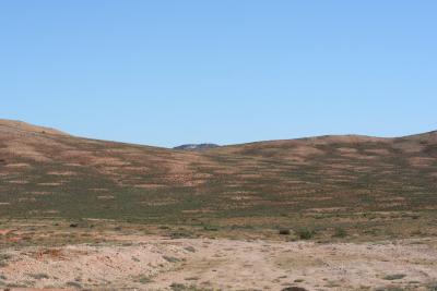 Termite circles N. Cape Richtersveld near Cornellskop 5.IX.2.JPG