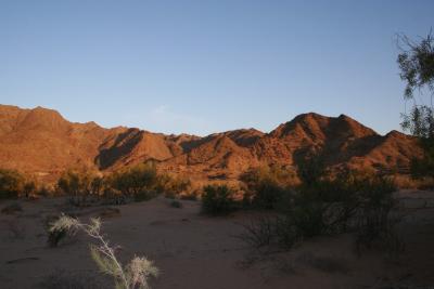 N. Cape Richtersveld De Hoop Camp 1.IX.2005 4.JPG