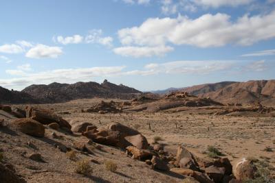 N. Cape Richtersveld N. P. Kokerboom Kloof 4.IX.2005 40.JPG