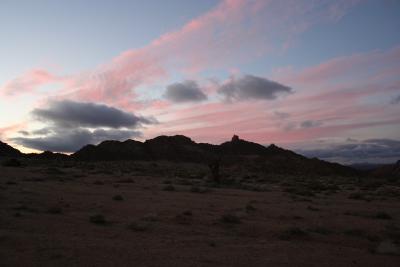 N. Cape Richtersveld N. P. Kokerboom Kloof 4.IX.2005 98.JPG