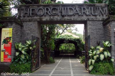 The Orchidarium