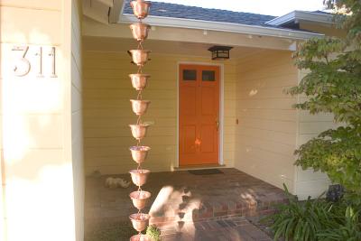 Rain chain and front door