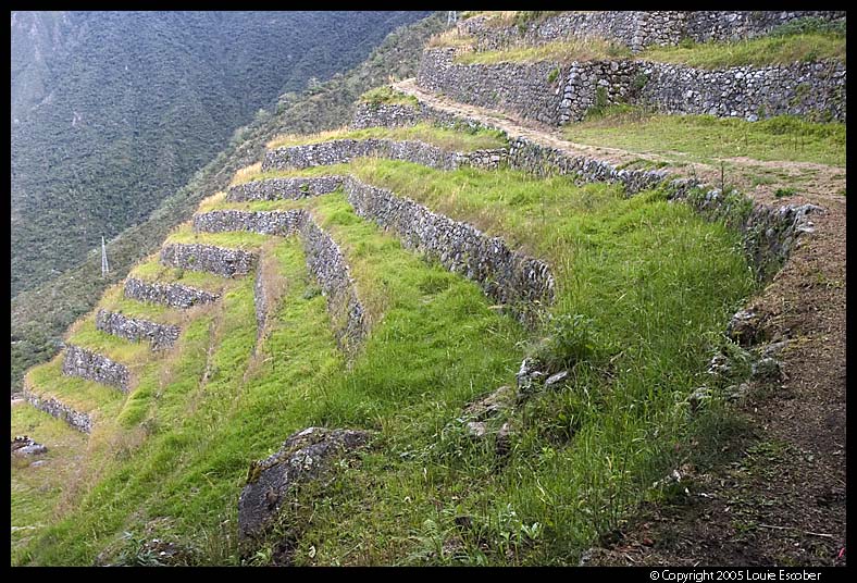 IncaTrail95.3.jpg