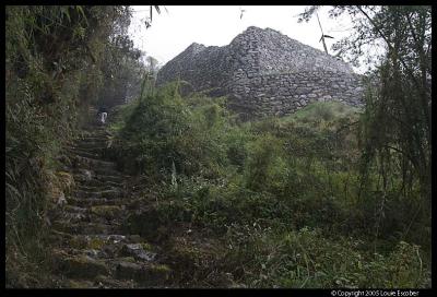 Inca Trail Day Three