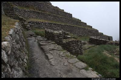 IncaTrail78.3.jpg