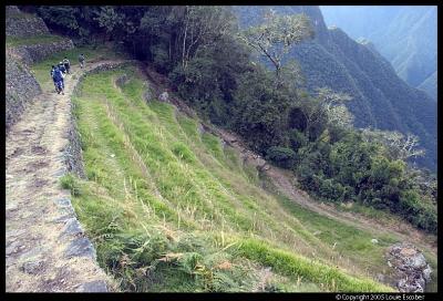 IncaTrail93.3.jpg