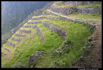 IncaTrail95.3.jpg