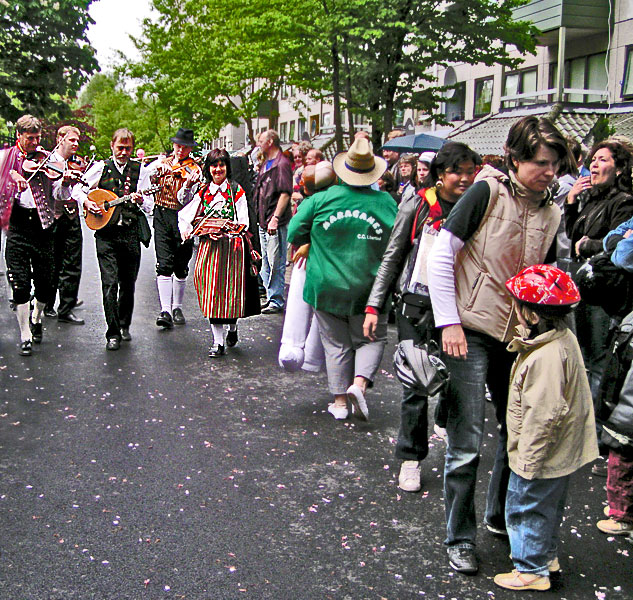 Swedish Folk Music 002