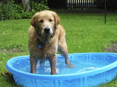 My very own pool!