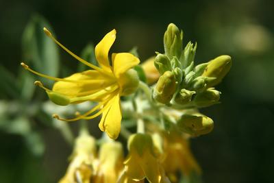 Img_0492 copy.jpg