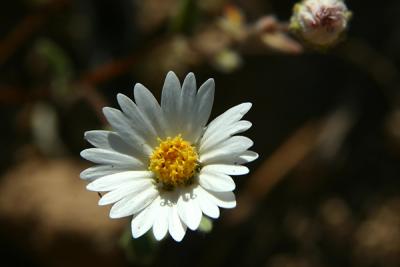 Img_0583q.jpg