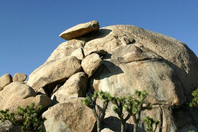 Img_0635q.jpg
