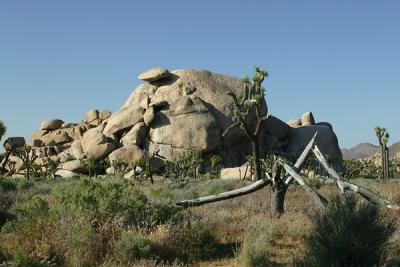 Img_0633q.jpg