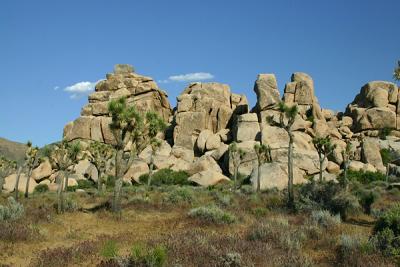 Img_0632q.jpg