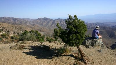 Img_0599 copy.jpg