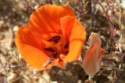 Img_0569 copy.jpg