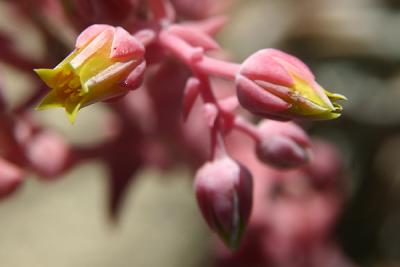 Img_0528 copy.jpg