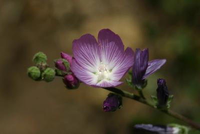 Img_1170w.jpg