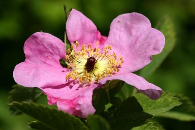 Img_1338w.jpg